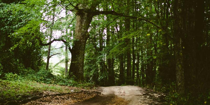 信阳企业如何破局？品牌策划+视觉传达的本地化推广实战指南