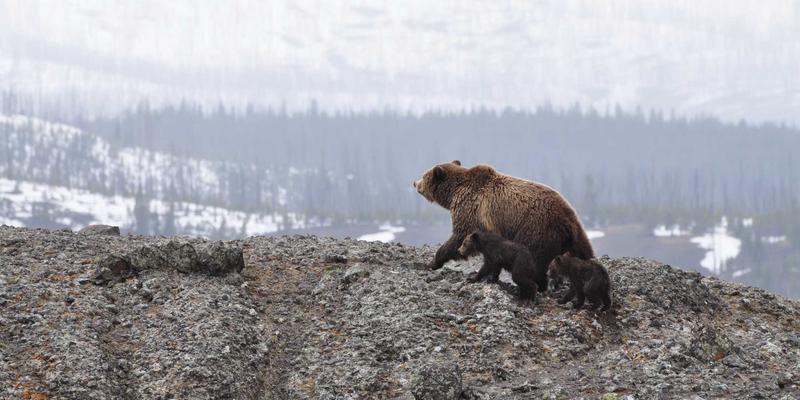 信阳老字号破圈密码：如何用广告策略让传统品牌“潮”起来