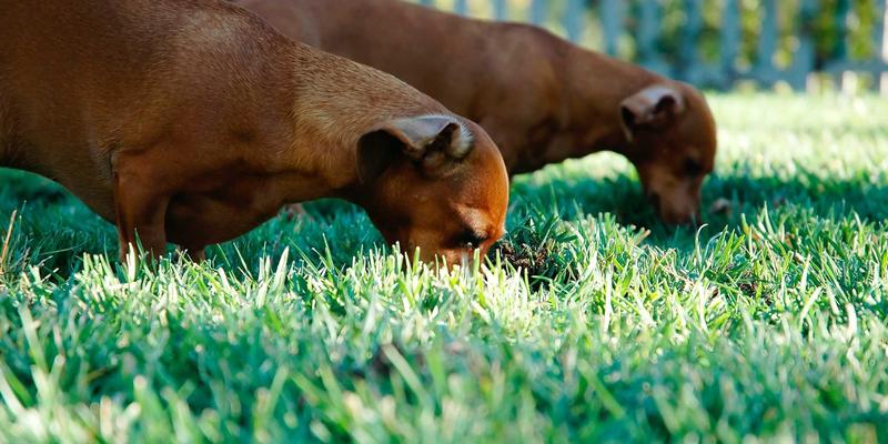 赛博朋克风如何点亮信阳乡镇市场？广告渗透新策略与实战案例解析